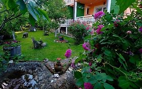 Apartmani Gs ***** Zavidovici