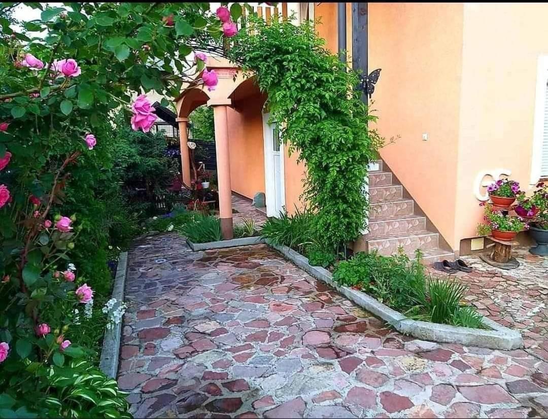 Apartmani Gs ***** Zavidovici Exteriér fotografie